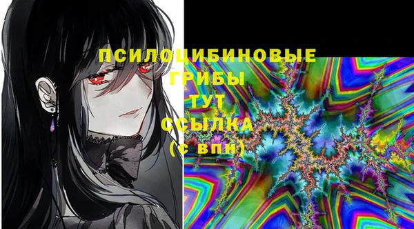 PSILOCYBIN Нефтекумск