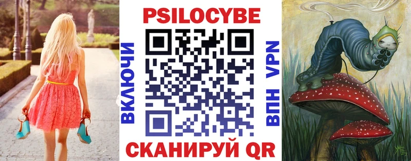 Псилоцибиновые грибы Cubensis  как найти   Полярный 